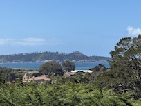 View from the living room
