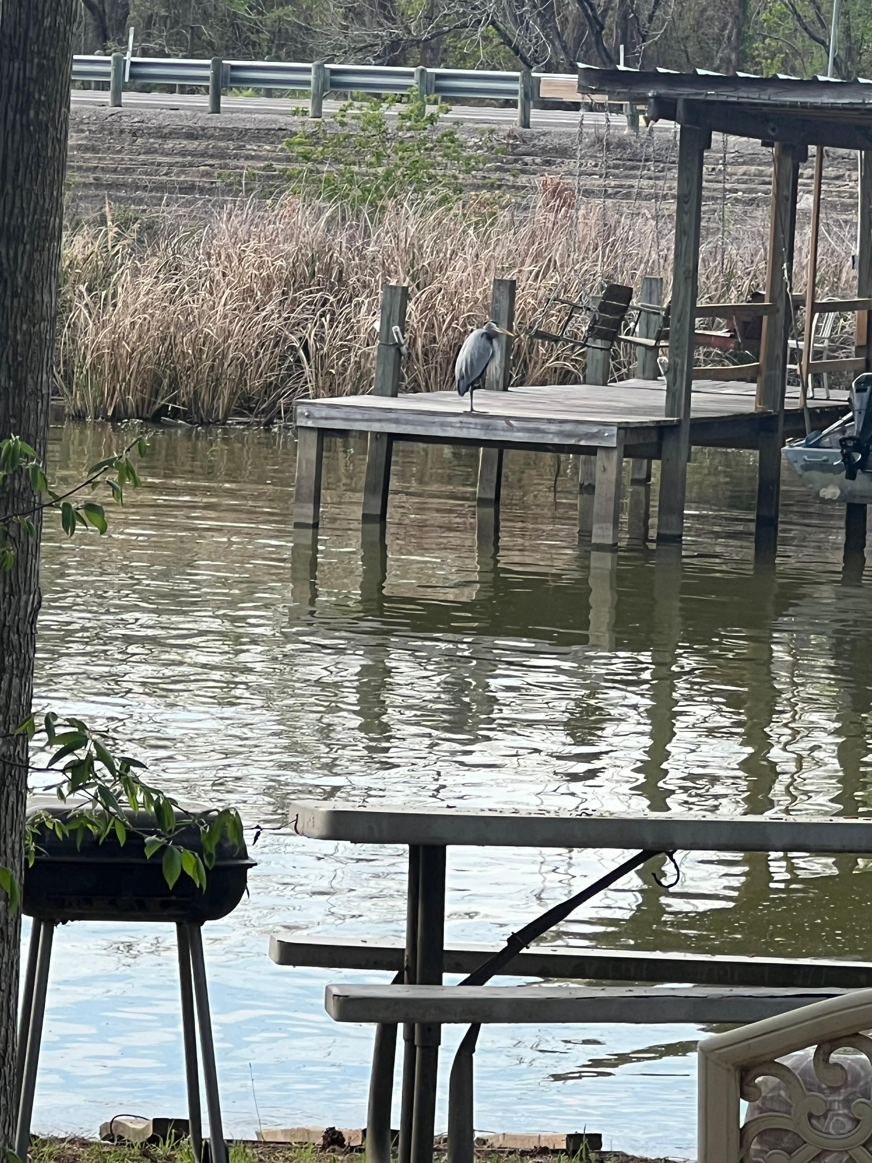 Two-lane highway bridge is just above photo 