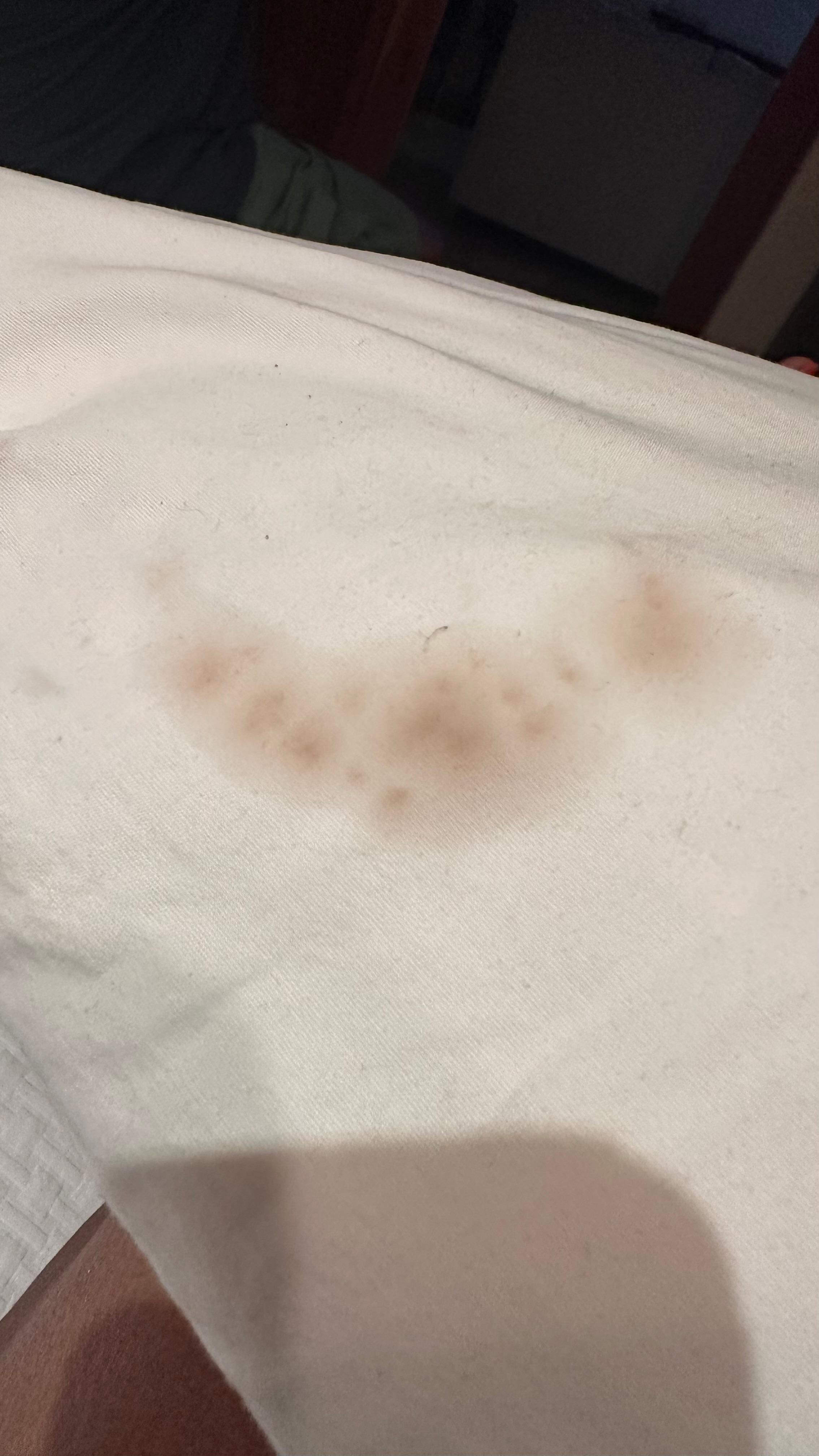 Stains on pillow. Not sure if it were from the headboard but still NO EXCUSE.
