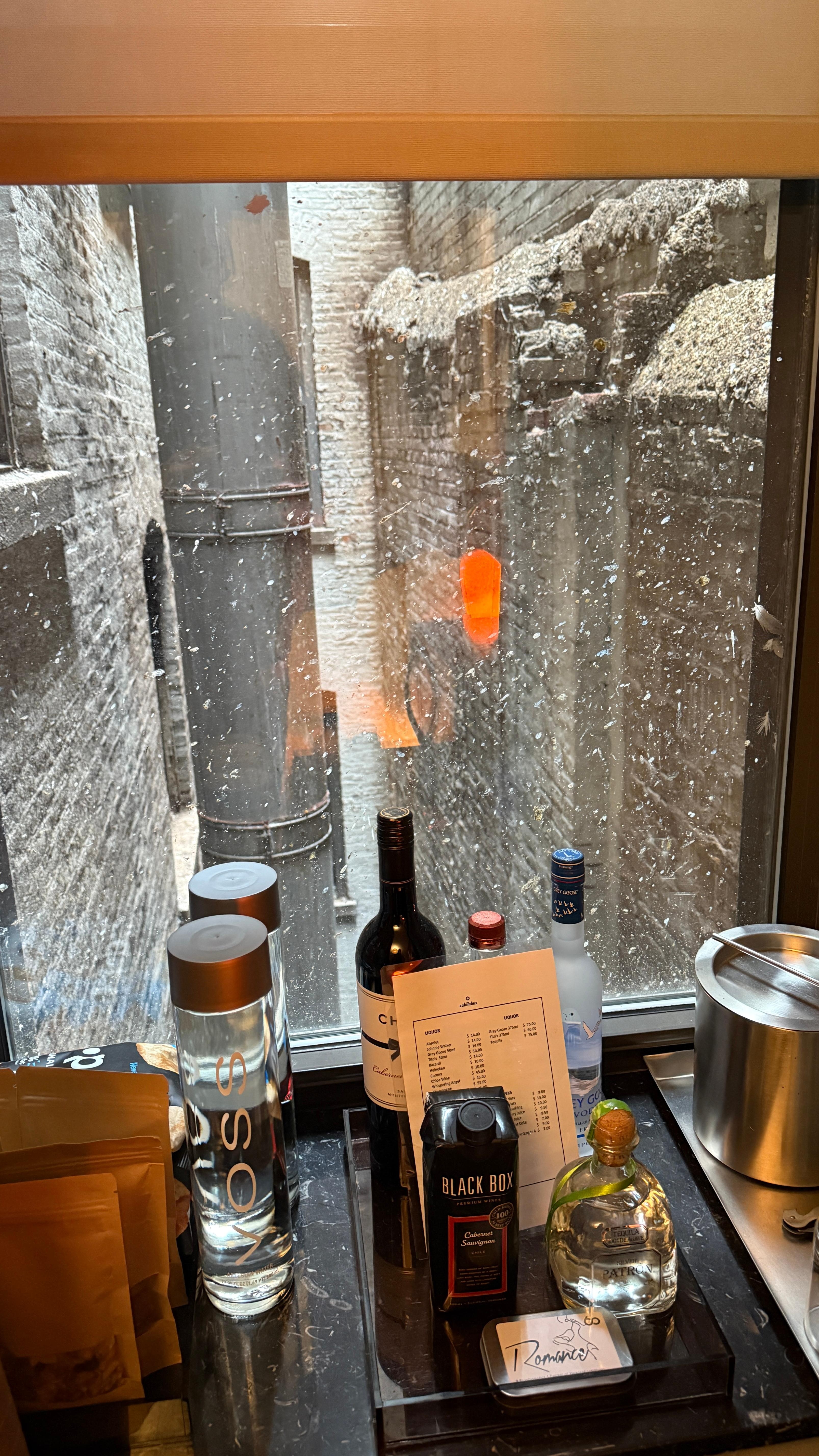 This is the view from my room. Lol... Classic NY.