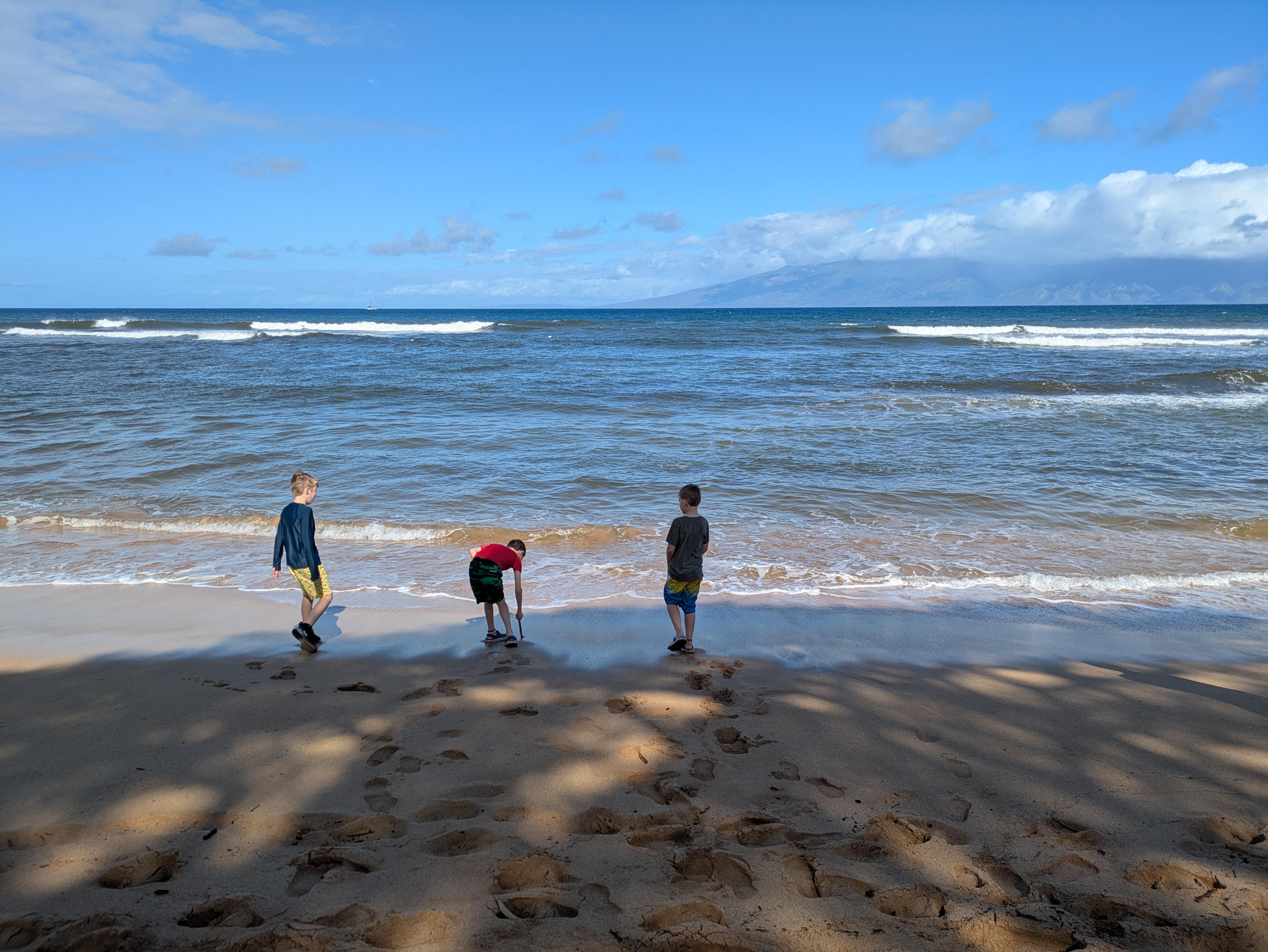 Kids loved the waves