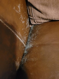 One photo of mold on the couch :(