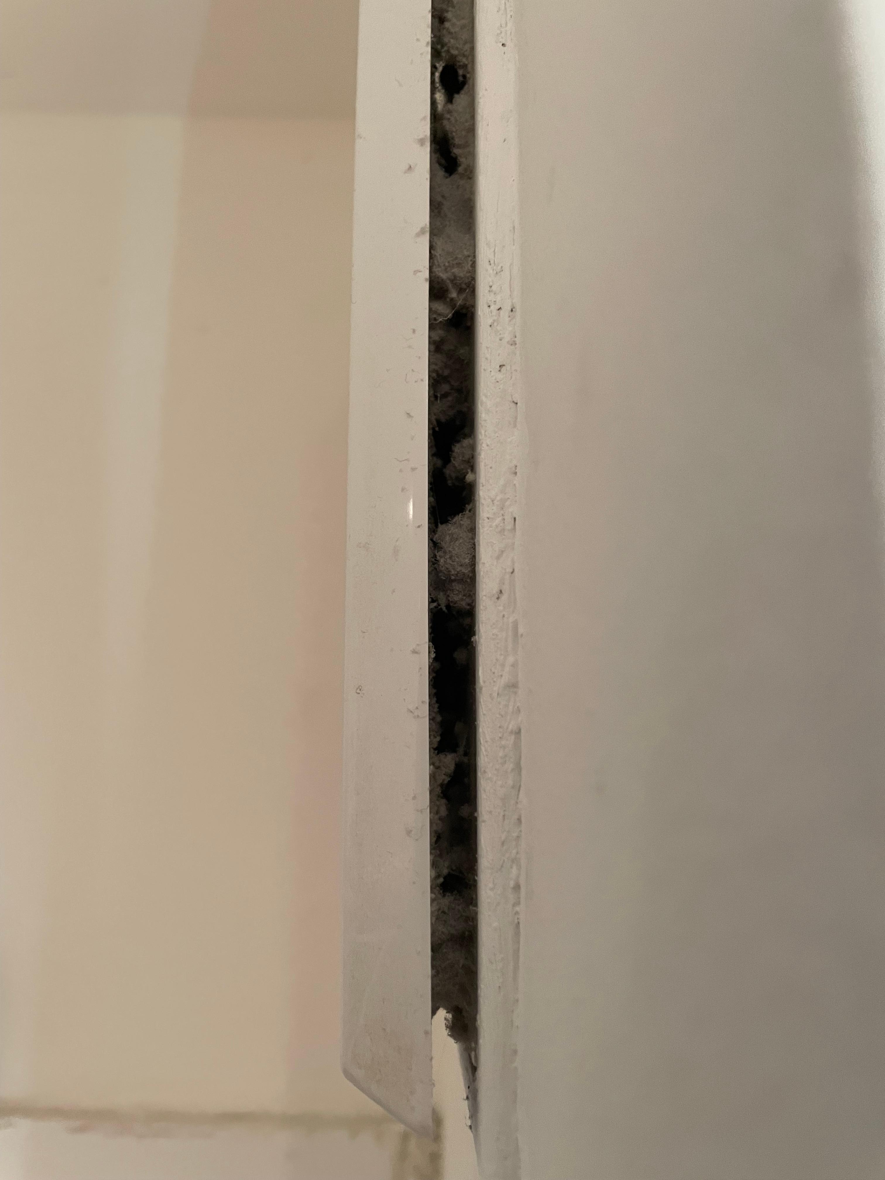 Die Fremdbelüftung des Bades muss dringend gereinigt werden. Sehr häufiger Besuch von Silberfischchen. Sind zwar kein Ungeziefer aber dennoch nicht schön.