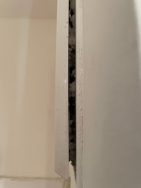 Die Fremdbelüftung des Bades muss dringend gereinigt werden. Sehr häufiger Besuch von Silberfischchen. Sind zwar kein Ungeziefer aber dennoch nicht schön.