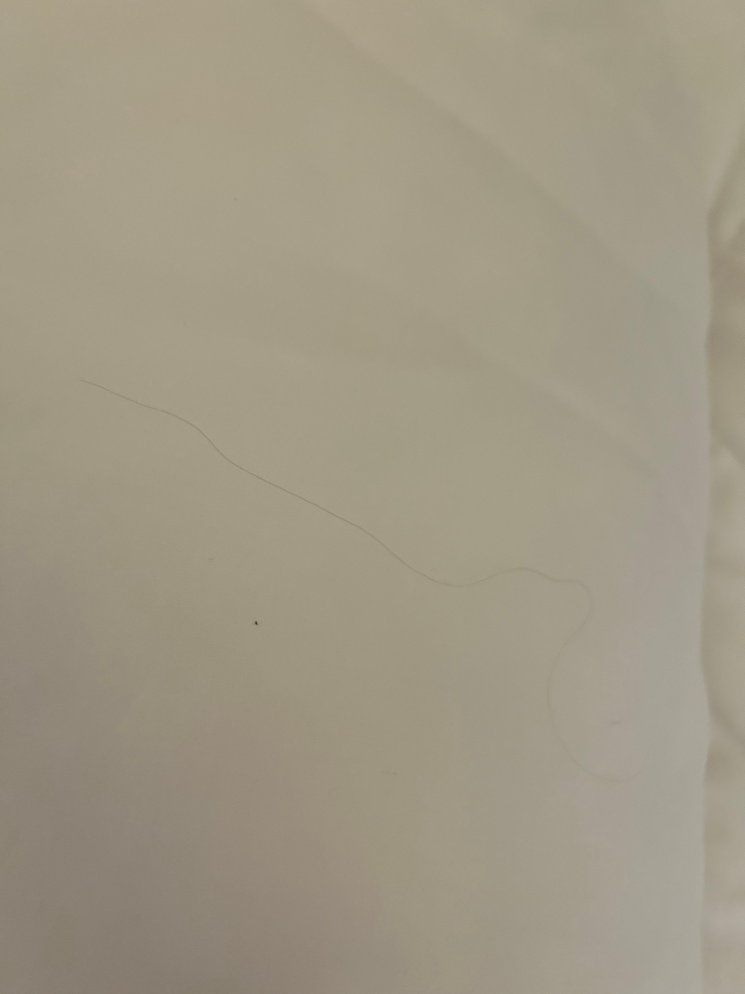 Hair on pillow 