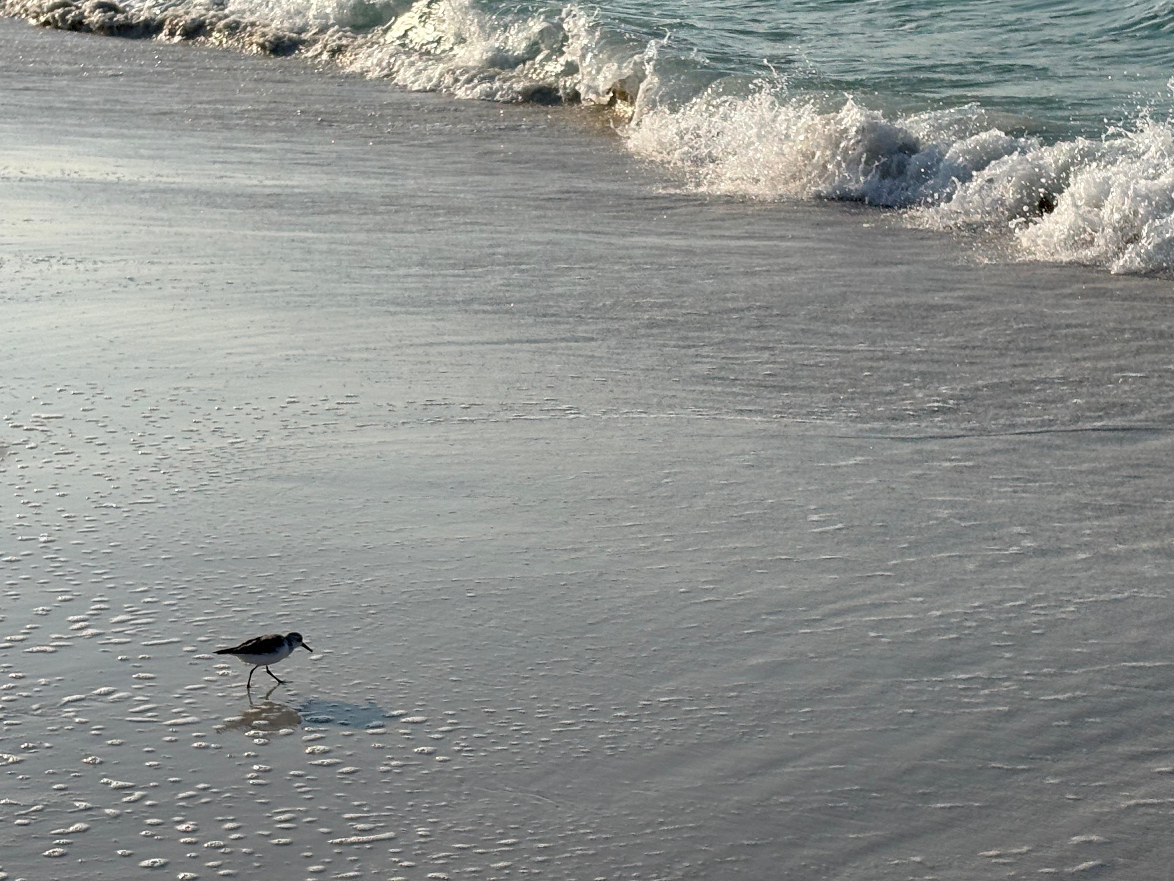 Destin beaches are breathtaking.  