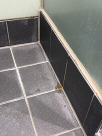 Ukendt klat i brusekabinen (unævnt)