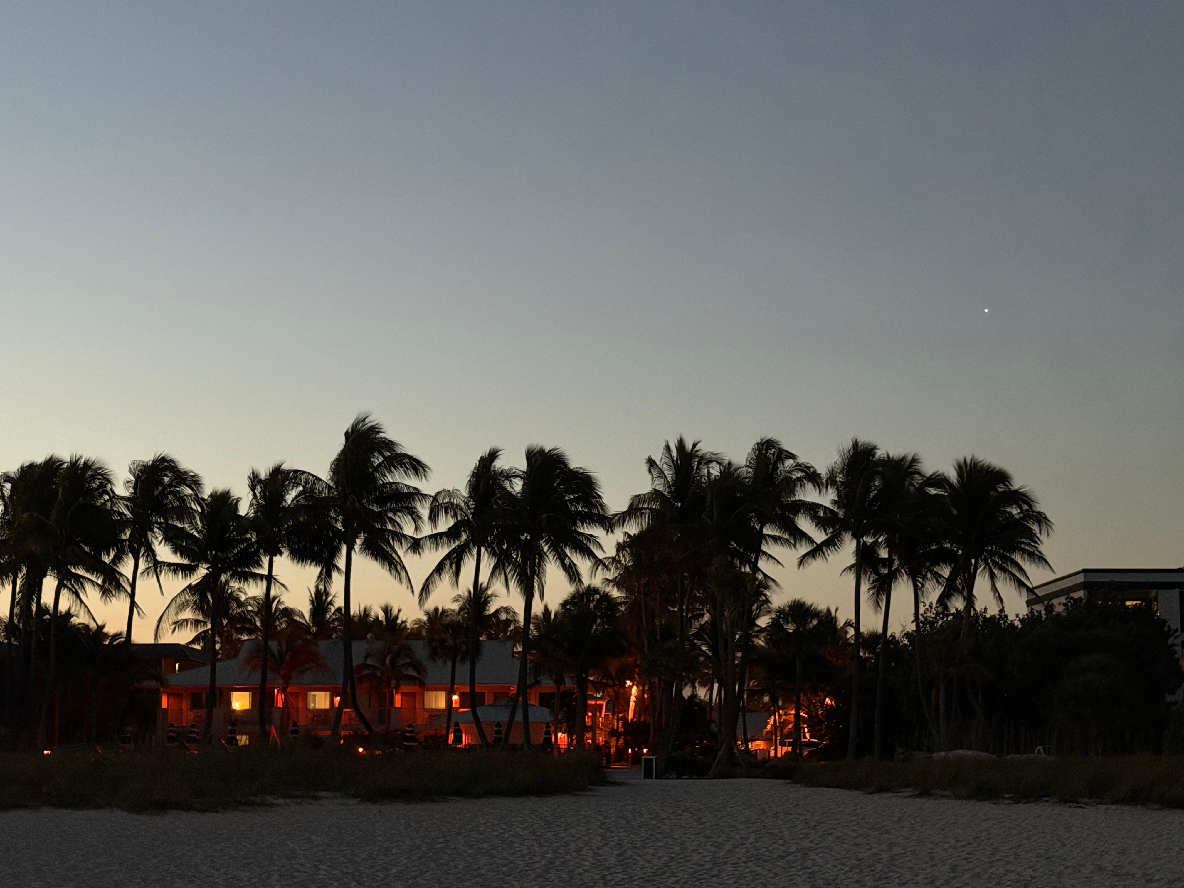 View of hotel from beach 
