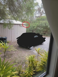 Security camera capturing car space, and queen bedroom window