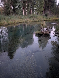 Super clear creek!