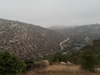 View from back porch