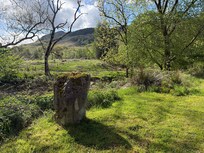 View from the patio