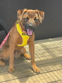 Frankie--our field trip friend for a day.