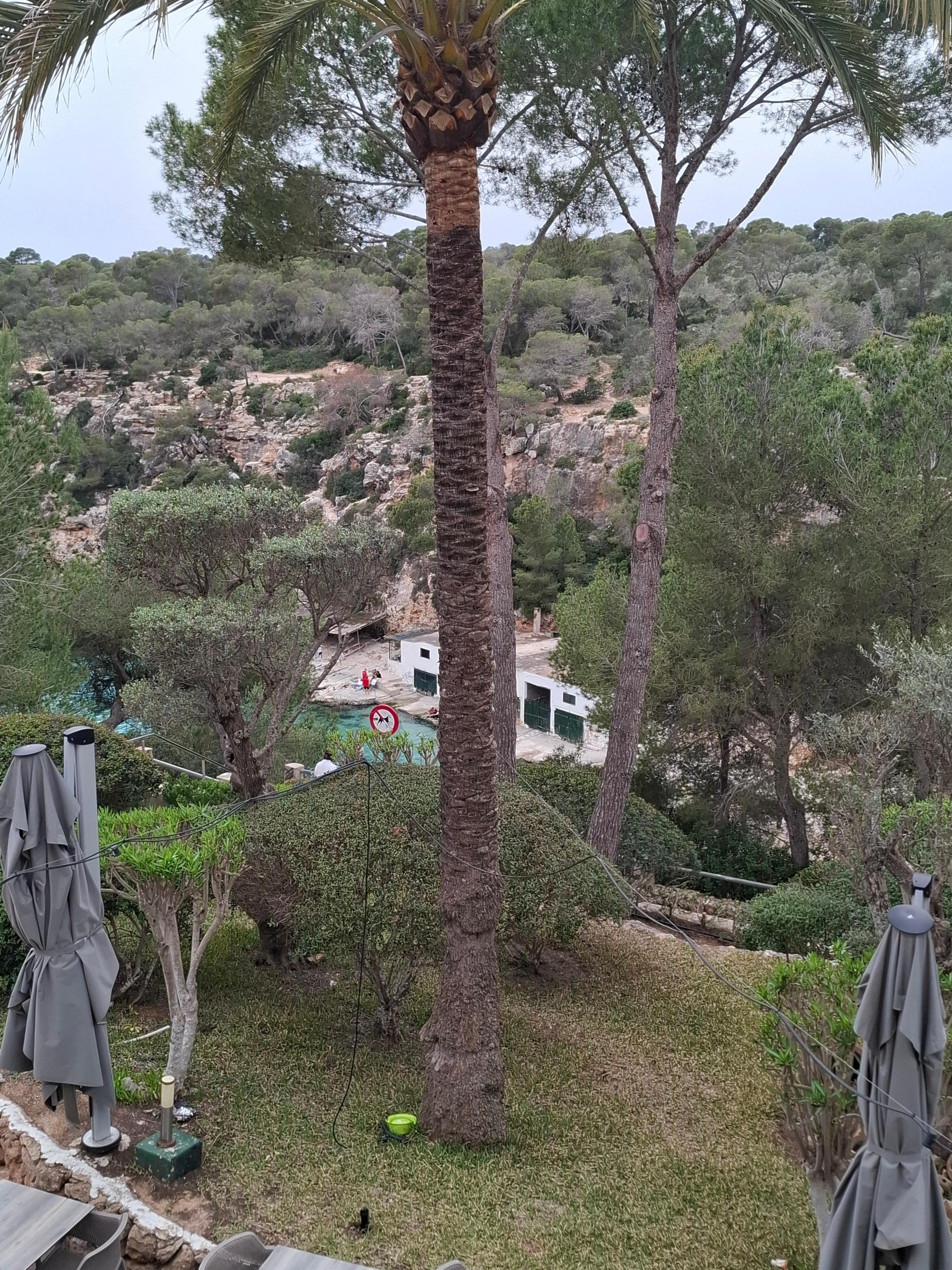 Views from the pool area