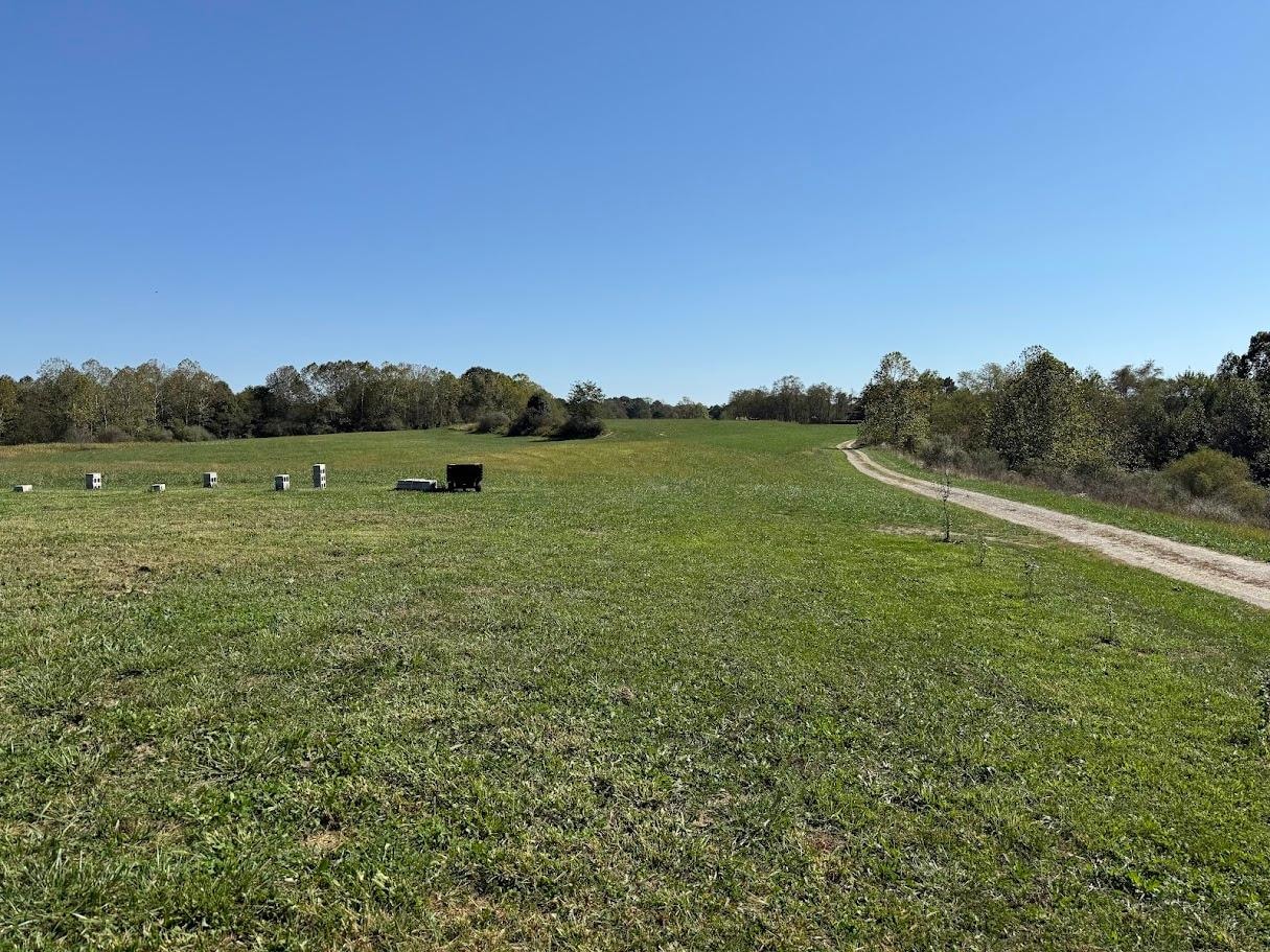 The property is large and beautiful. Lots of space to wander.