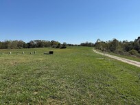 The property is large and beautiful. Lots of space to wander.