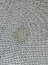 Another animal pee stain on the entry way rug