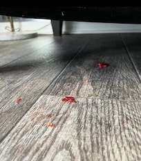 Living room floor