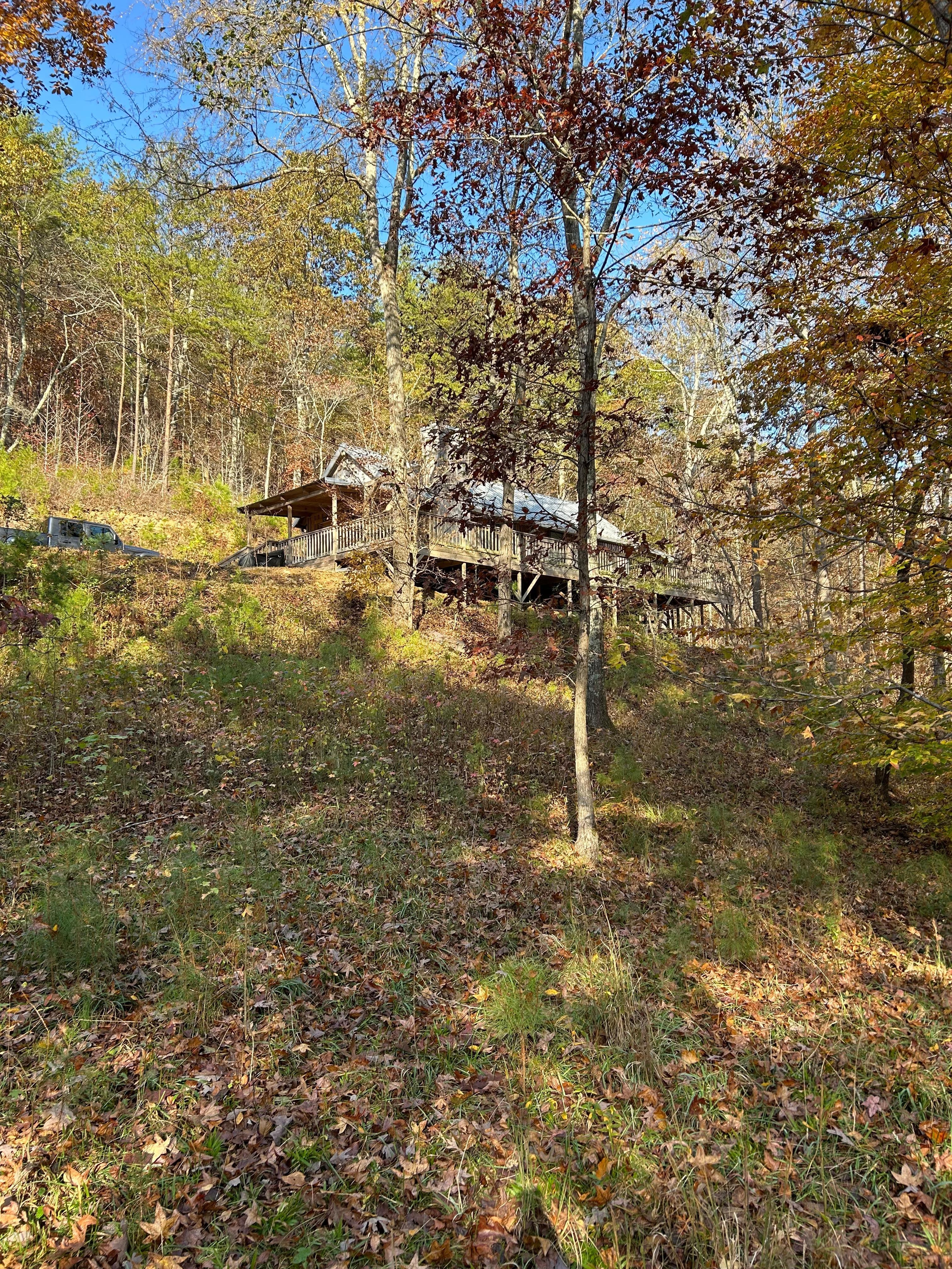View of cabin from trail