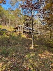 View of cabin from trail
