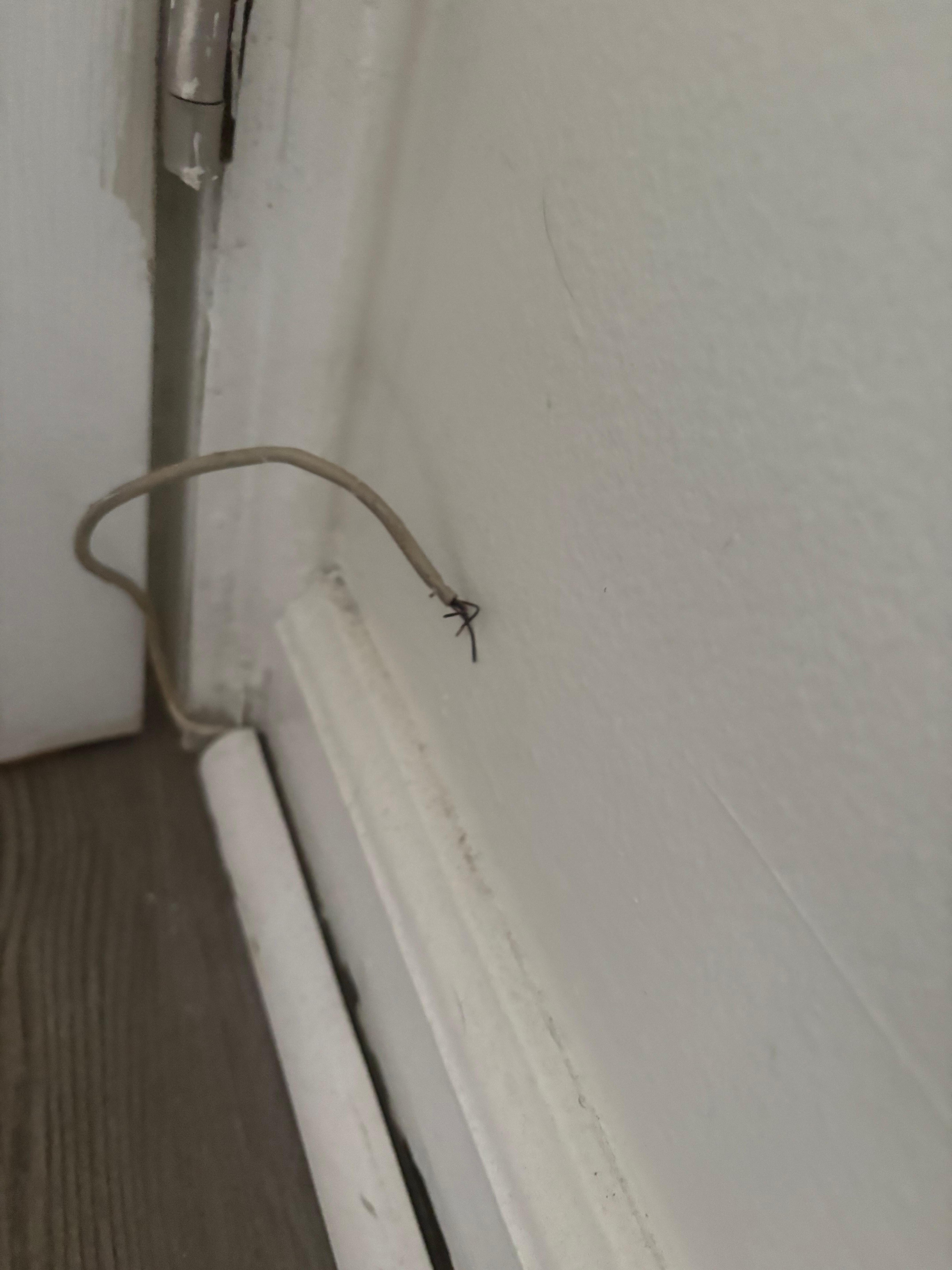 Random wire, one of 2 