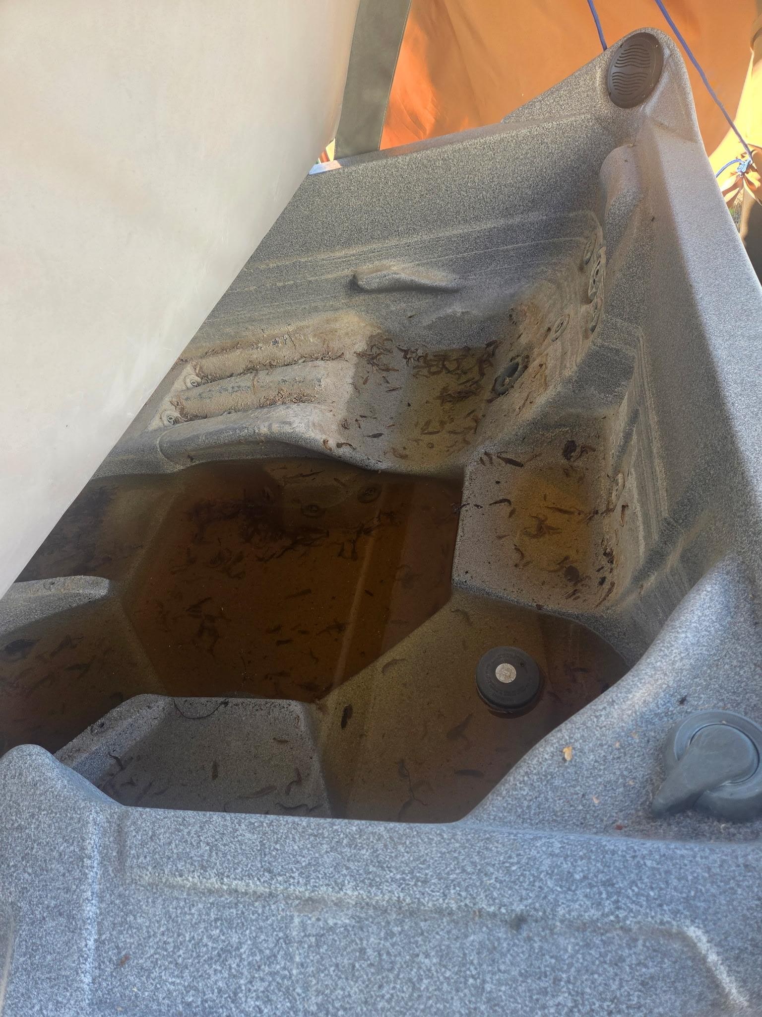 Hot tub with green water