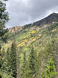 Fall color starting on Berthoud Pass
