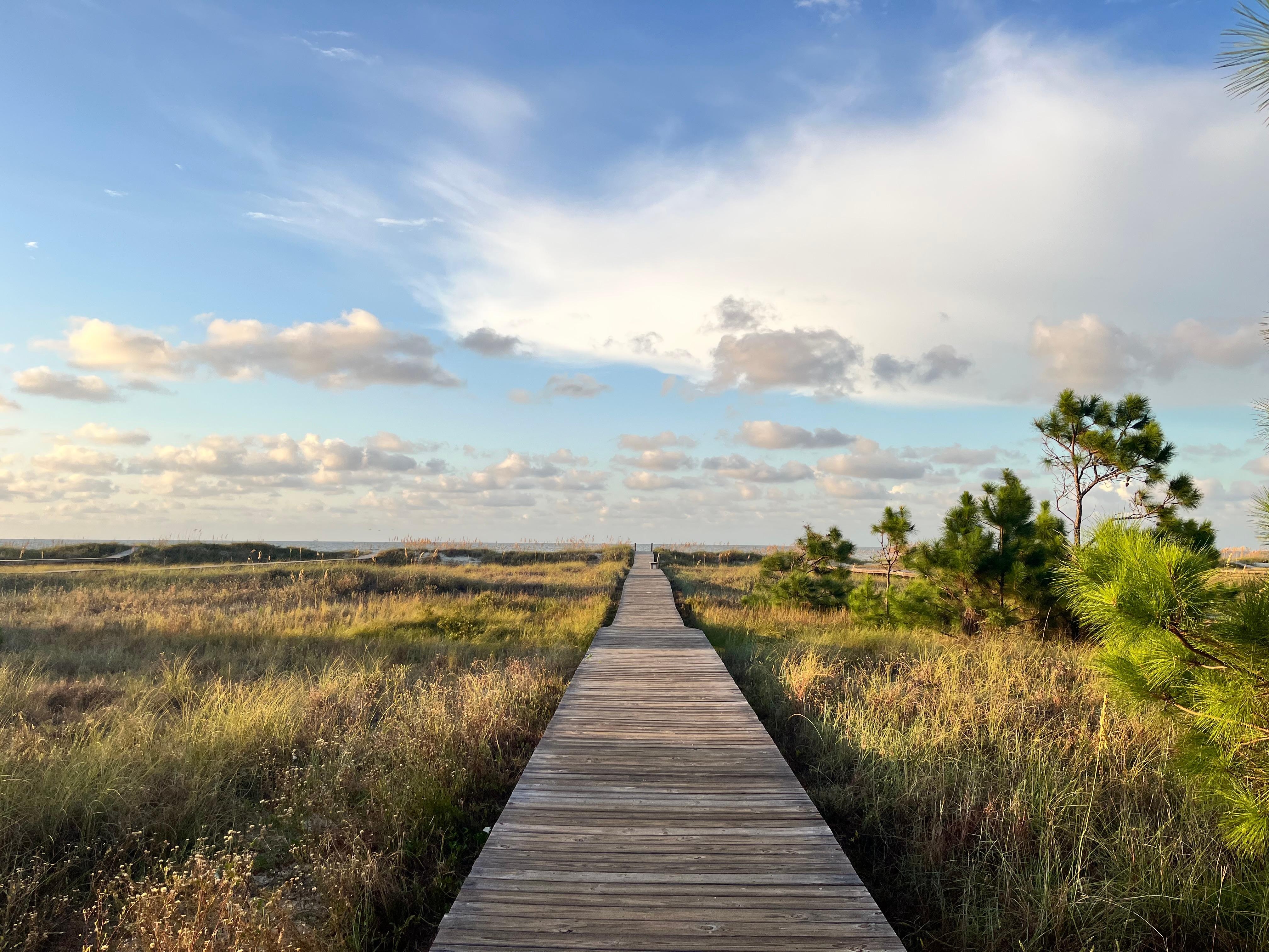 Boardwalk to the beach 