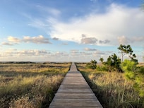 Boardwalk to the beach