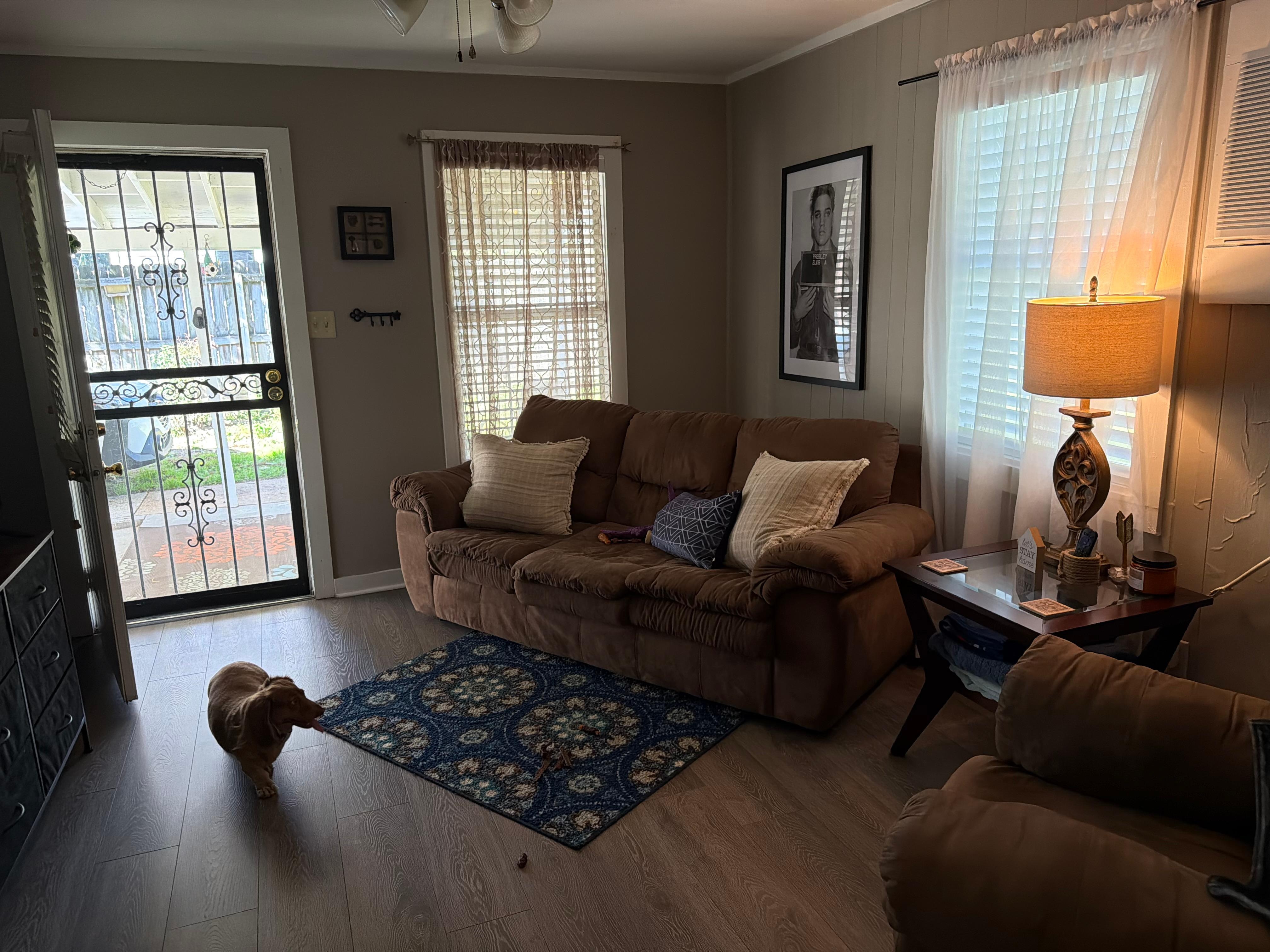 Nice size living room and as you can see pet friendly lol 