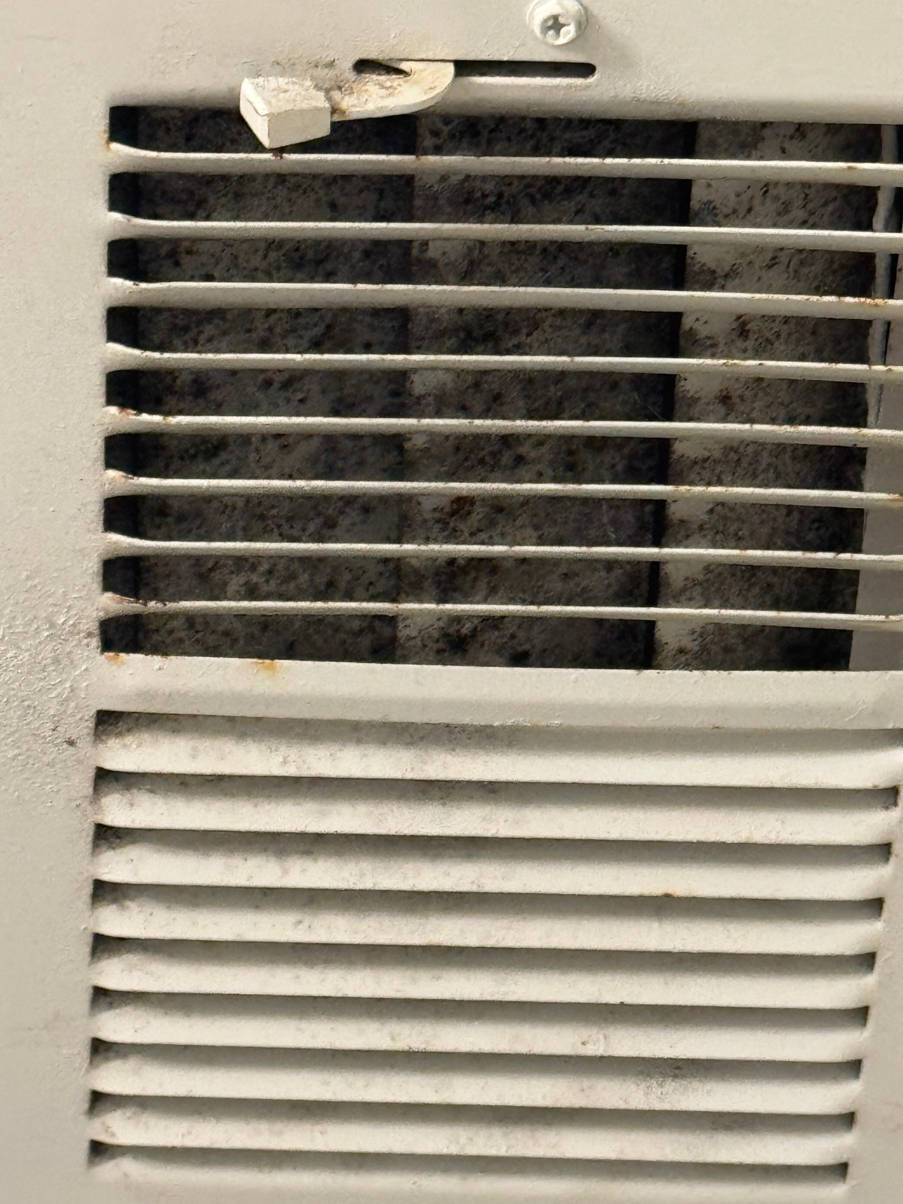 Dirty carpets in hall and bedrooms 