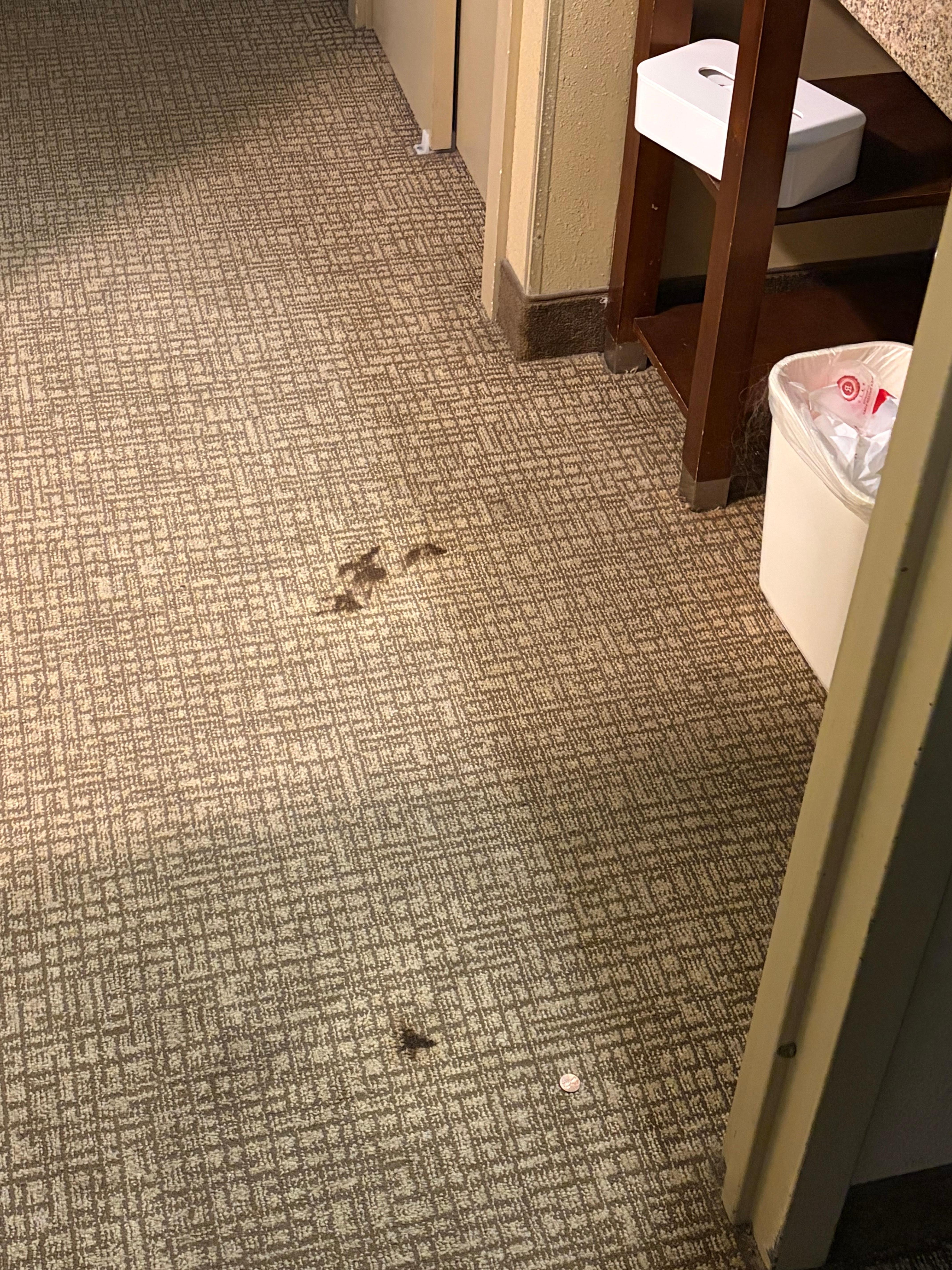 Blood or something in the carpet