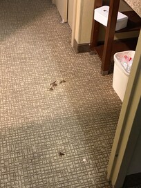 Blood or something in the carpet