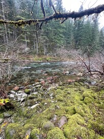 The rocky “shore” (slippery when wet and difficult to sit on)