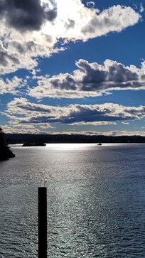 View looking straight out from deck