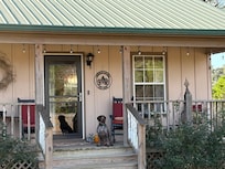 Porch- dog friendly