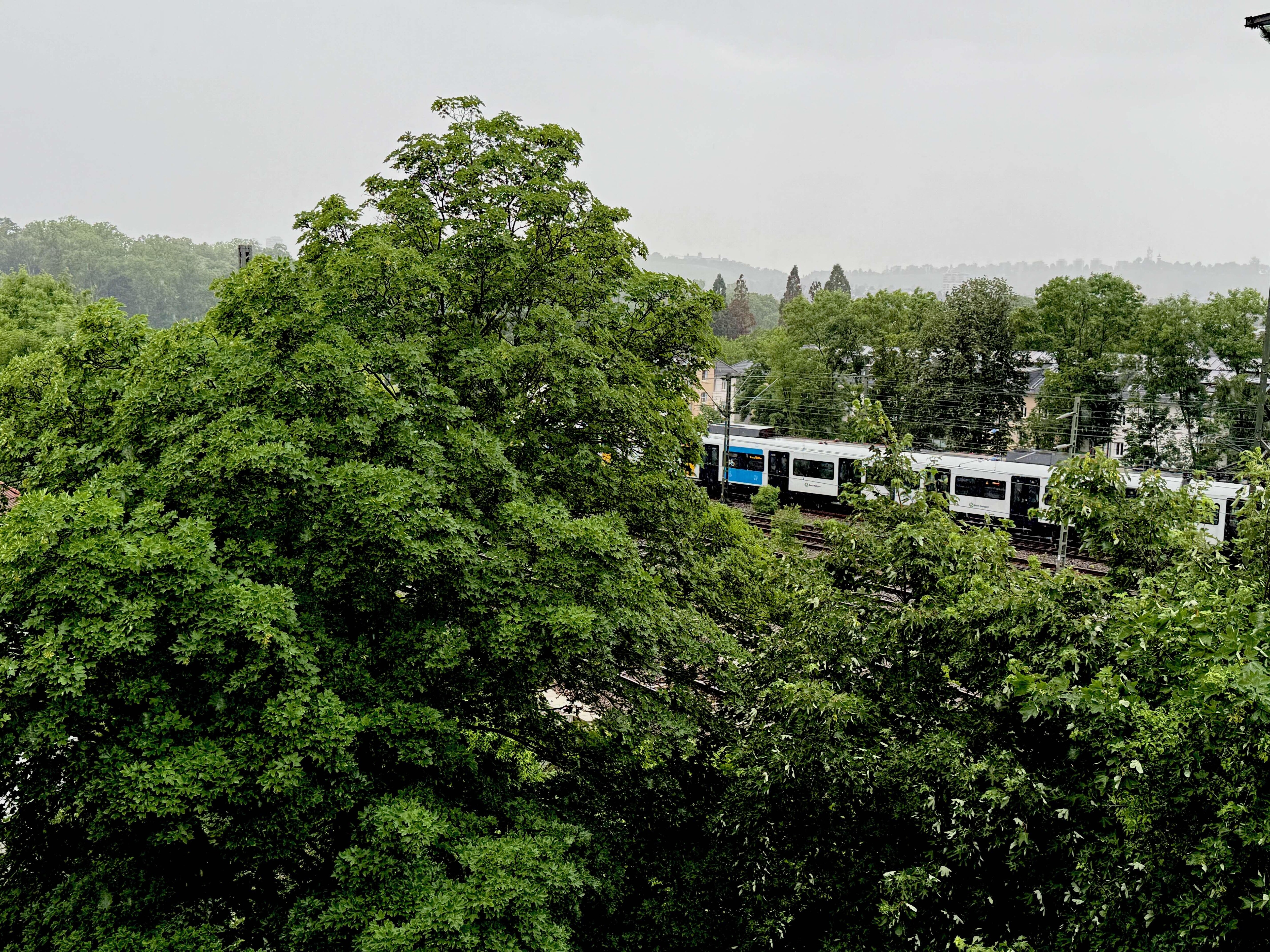View from a room on the 6th Floor at the rear on a very rainy day. Excellent soundproofing despite nearby rail lines