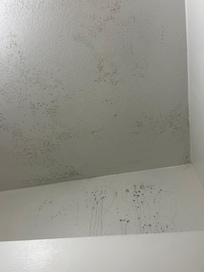 Mold on a bathroom ceiling