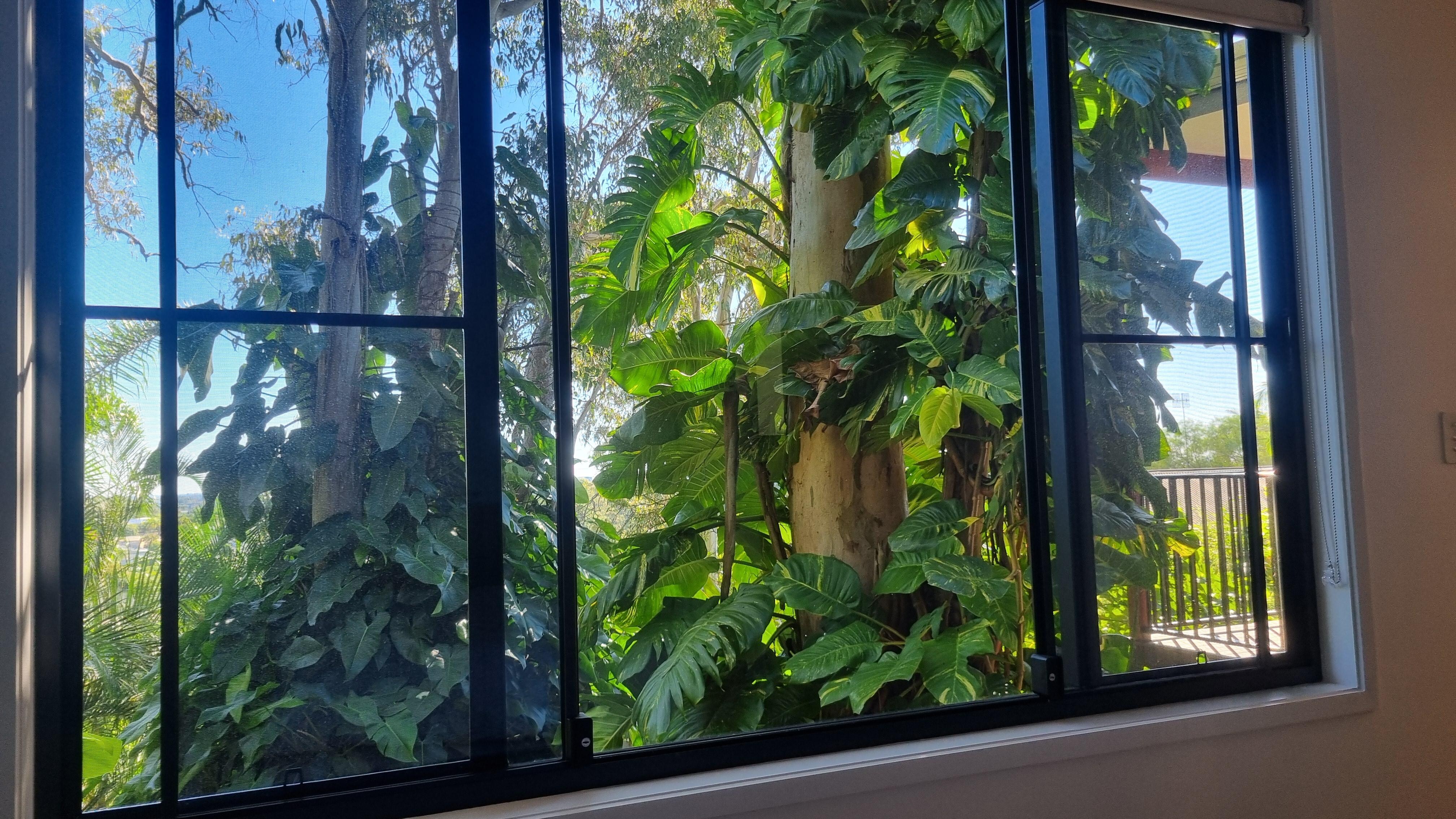 Waking up in the trees 🌳 💖.