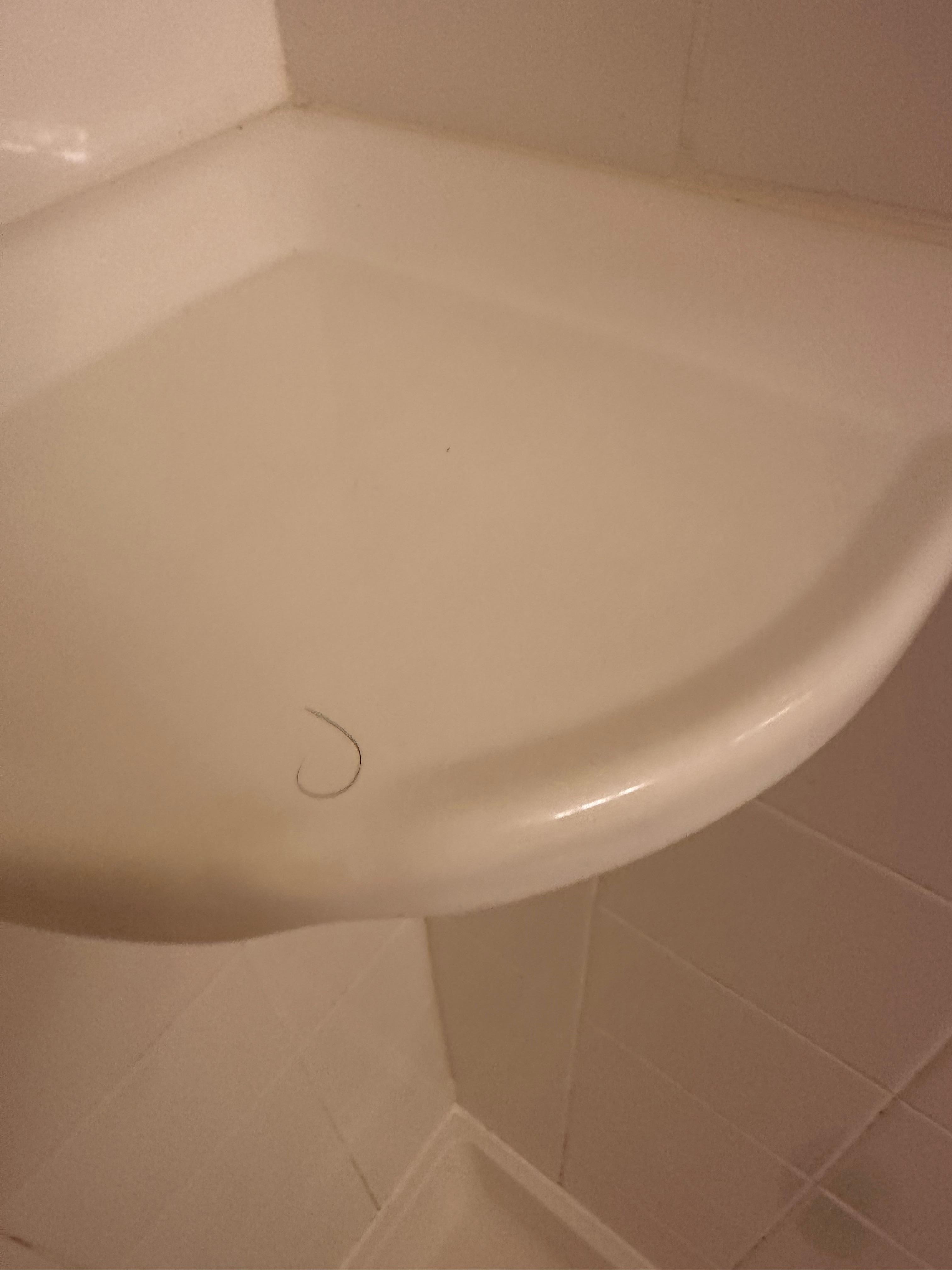 A hair on the soap holder in the shower.
