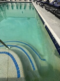A BUNCH of bugs in the pool. Looked like that haven’t serviced it in a while