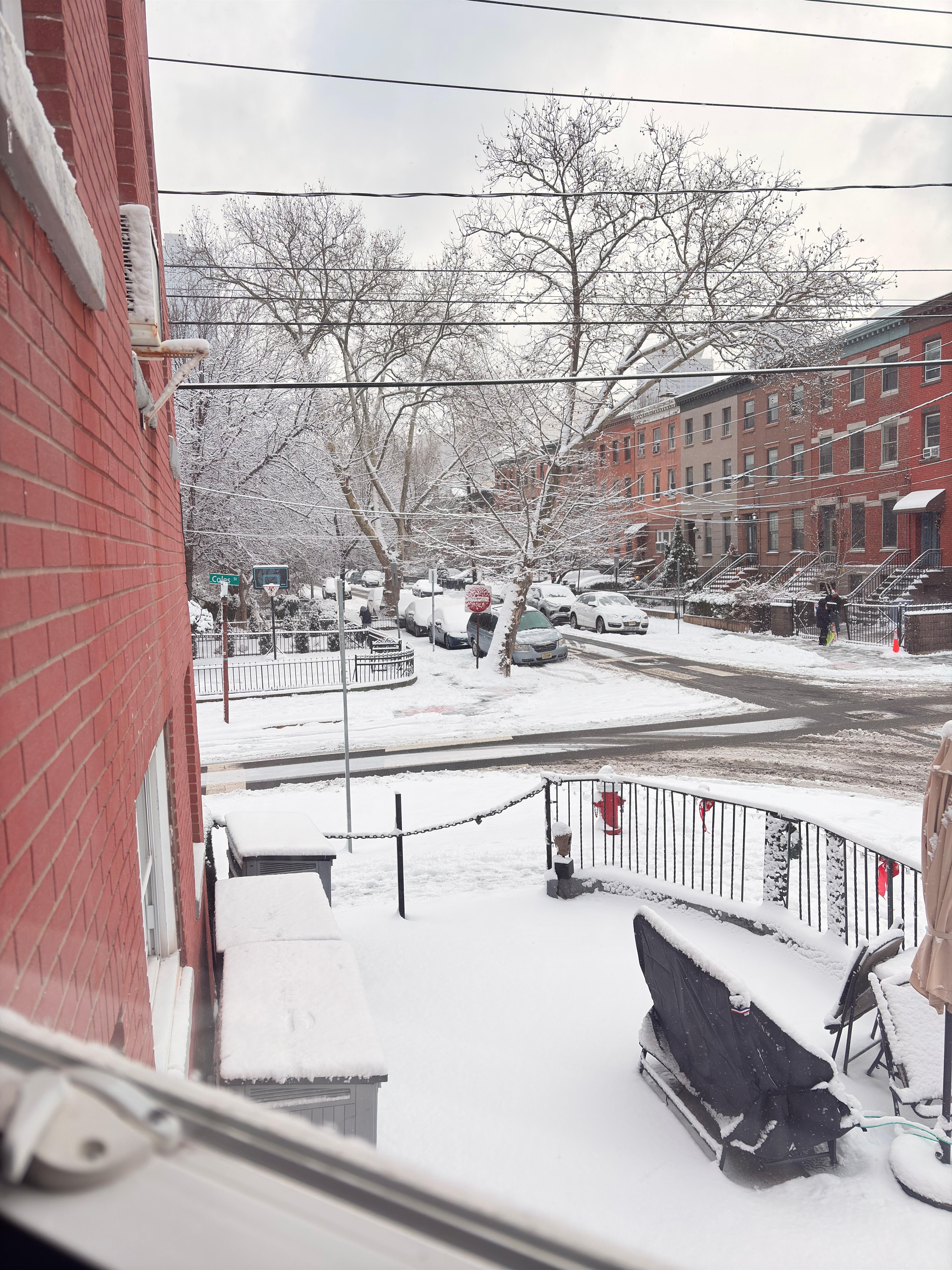 View from the windows when it snowed! 