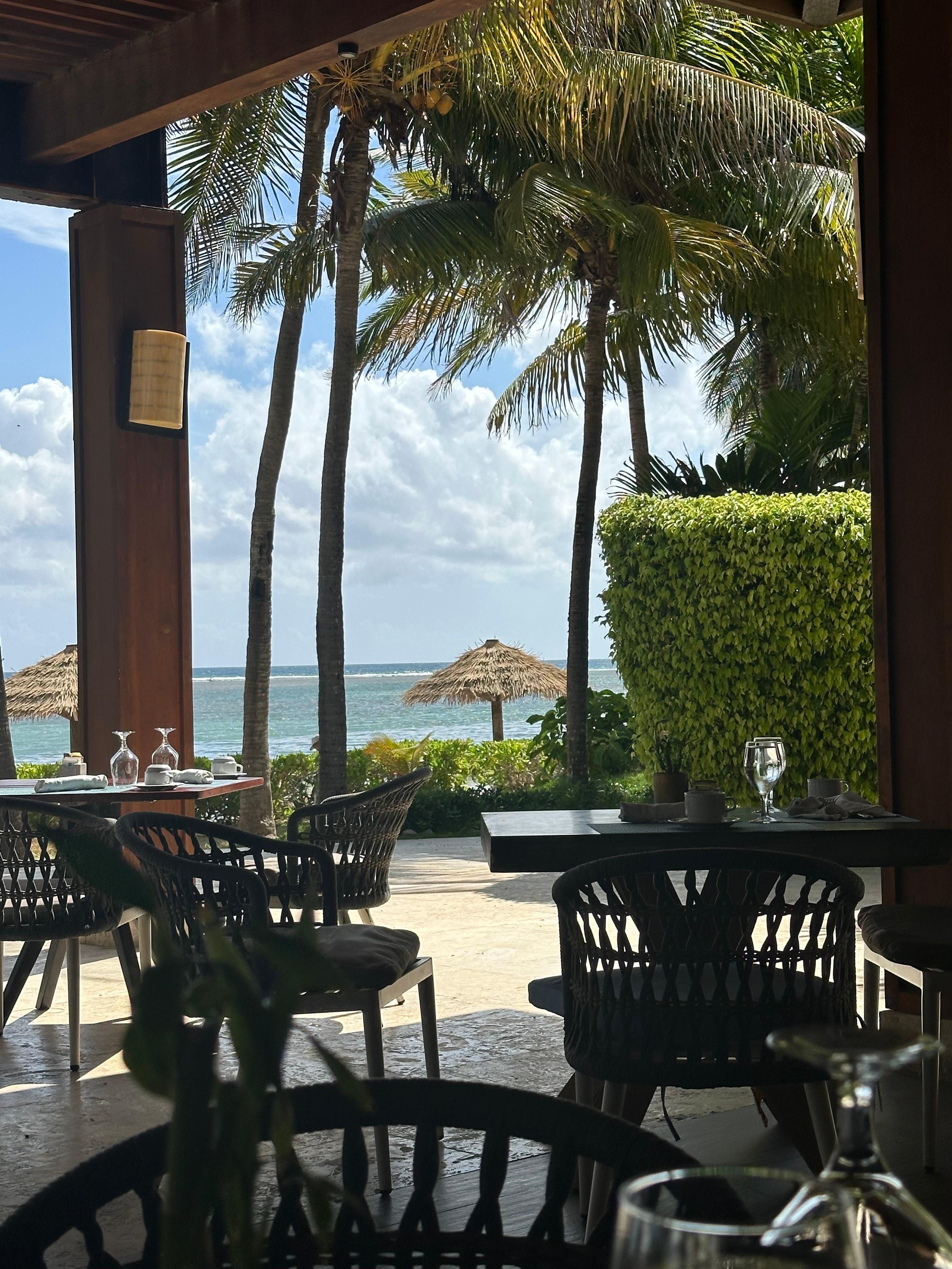 Lovely view from the dining room!