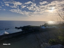 From treehouse at front of property