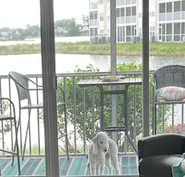 Izzy on the enclosed back porch area looking in.