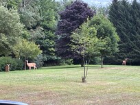 Neighbors came by to say hello.