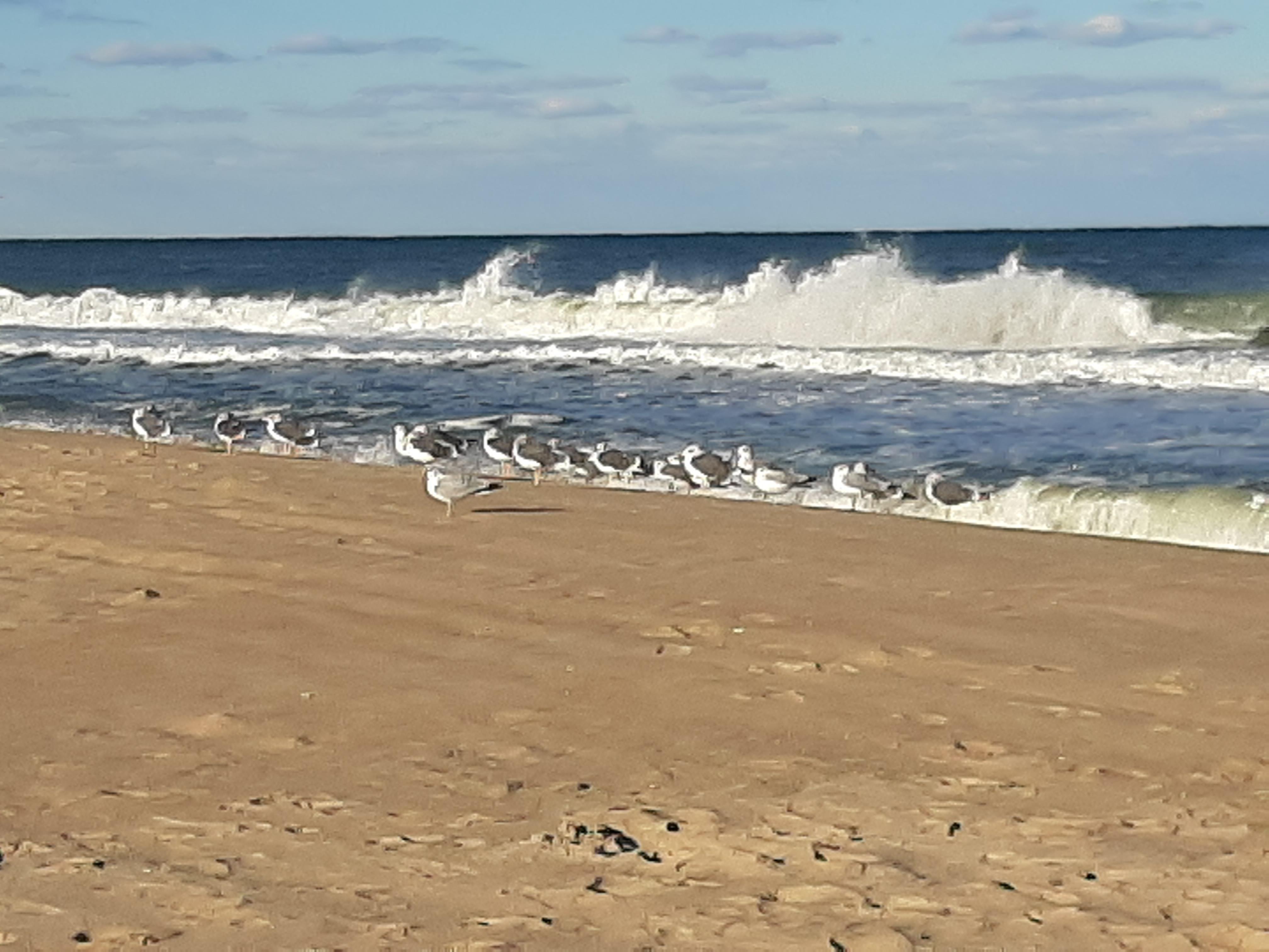 Right outside our window.