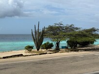 Looking across the street from my unit