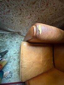 Every comfortable piece of furniture was ripped or broken down. New furniture or need covers for living area furniture
