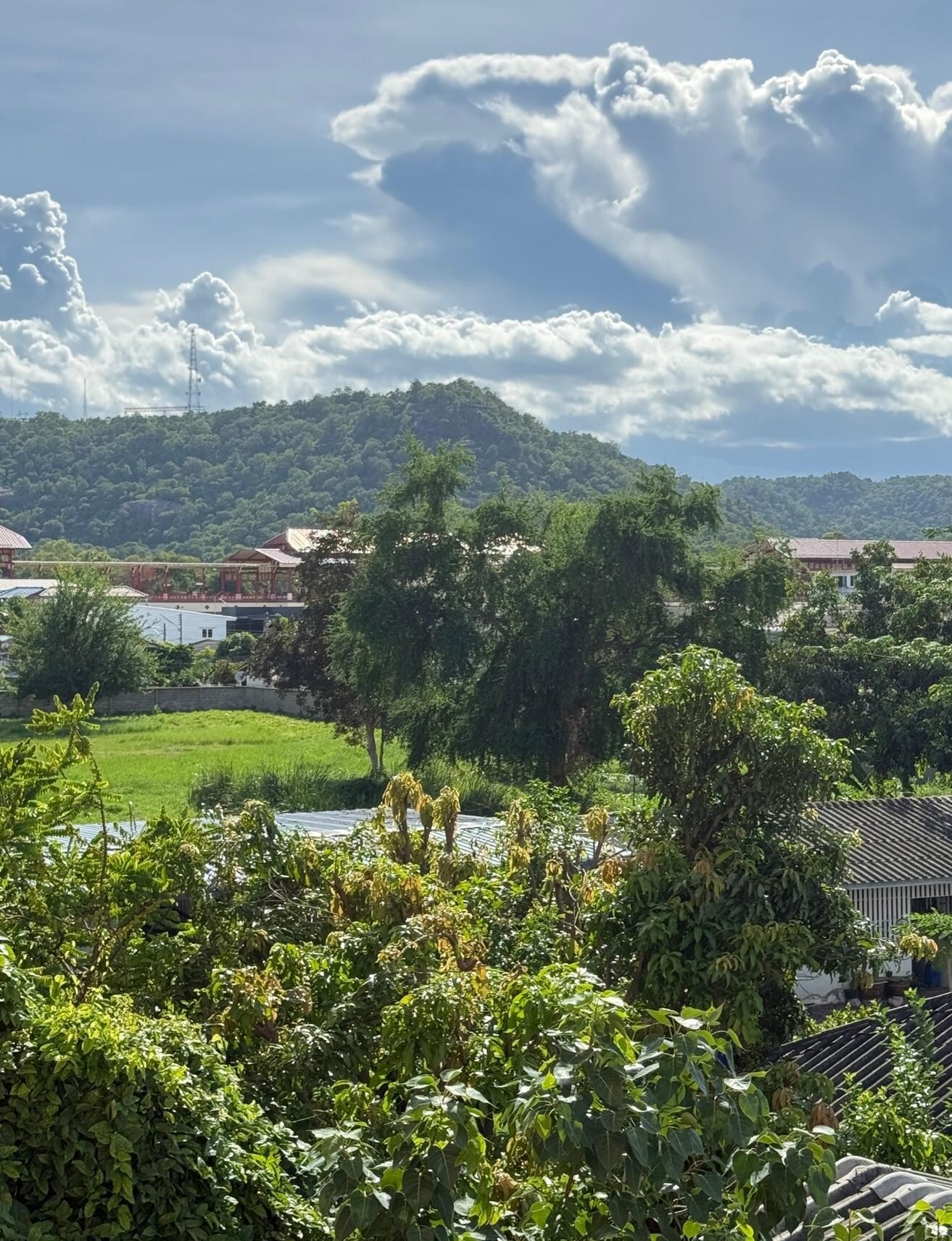 View from balcony 